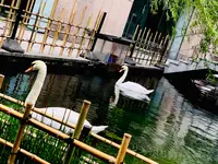 六角堂の写真・動画_image_436162