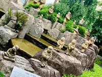 六角堂の写真・動画_image_436165