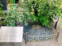 六角堂の写真・動画_image_436167