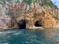 青海島観光汽船の写真・動画_image_436340