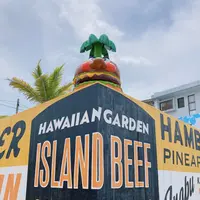 YAMBURGER.MIYAKO（ヤンバーガー宮古島）の写真・動画_image_436358