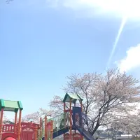 ケヤキ広場の写真・動画_image_436363