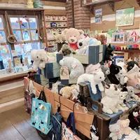 カントリーキャットの写真・動画_image_436407