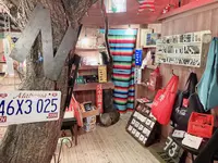 クレソンの写真・動画_image_436417
