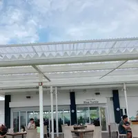 ブルータートル[Blue Turtle]の写真・動画_image_436423