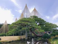兼六園の写真・動画_image_436498