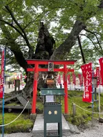 今宮坊（秩父三十四観音霊場第十四番札所）の写真・動画_image_436667