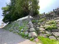 中津城（奥平家歴史資料館）の写真・動画_image_436771