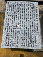中津城（奥平家歴史資料館）の写真・動画_image_436774