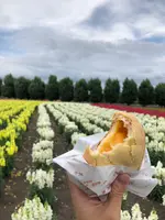 ファーム富田の写真・動画_image_436950