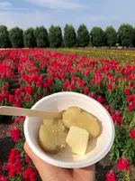 ファーム富田の写真・動画_image_436951