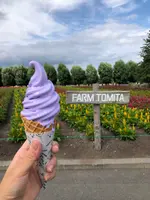 ファーム富田の写真・動画_image_436952