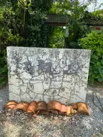 御殿山の写真・動画_image_436967