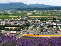 なかふらのフラワーパークの写真・動画_image_436997