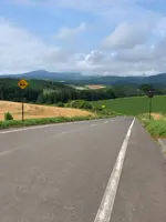 セブンスターの木の写真・動画_image_437006
