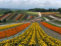 四季彩の丘の写真・動画_image_437009