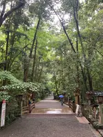 大神神社の写真・動画_image_437136