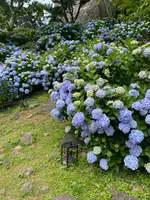 小田原城址公園の写真・動画_image_437203