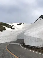 雪の大谷の写真・動画_image_437210