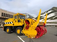 雪の大谷の写真・動画_image_437211