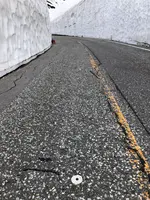 雪の大谷の写真・動画_image_437214