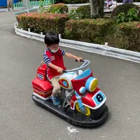 小田原城址公園こども遊園地の写真・動画_image_437222