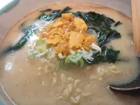 函館らーめんかもめの写真・動画_image_437249