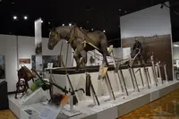 北海道博物館の写真・動画_image_437258