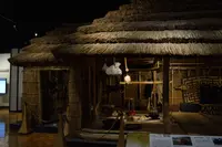 北海道博物館の写真・動画_image_437259