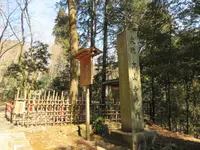 高山寺の写真・動画_image_437341