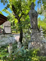 無量山 西光寺の写真・動画_image_437771