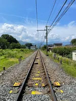 実正山定林寺の写真・動画_image_437800