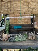 神門寺の写真・動画_image_437806