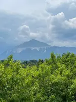 岩之上堂の写真・動画_image_437834