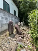 岩之上堂の写真・動画_image_437836