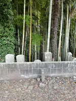岩之上堂の写真・動画_image_437837