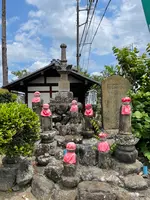 観音寺の写真・動画_image_437842