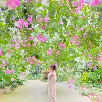 ユートピアファーム宮古島の写真・動画_image_437906