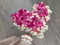 ユートピアファーム宮古島の写真・動画_image_437907