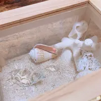 ハンドメイドアクセサリー utataneの写真・動画_image_437911