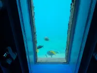 宮古島海中公園の写真・動画_image_437914