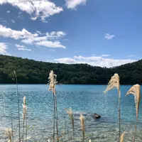 潟沼の写真・動画_image_437952
