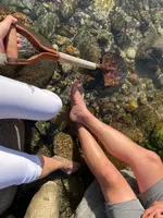 川原の湯っこの写真・動画_image_437959