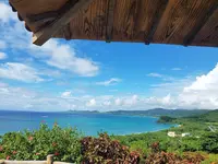 玉取崎展望台の写真・動画_image_437991