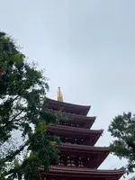 浅草寺の写真・動画_image_438108
