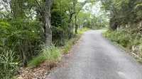 みなとの見える丘公園の写真・動画_image_438181