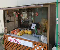 大芝島の写真・動画_image_438213