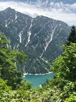 黒部平駅の写真・動画_image_438308