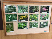 黒部平駅の写真・動画_image_438311