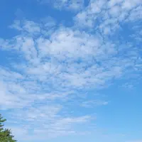 鵜の巣断崖の写真・動画_image_438323